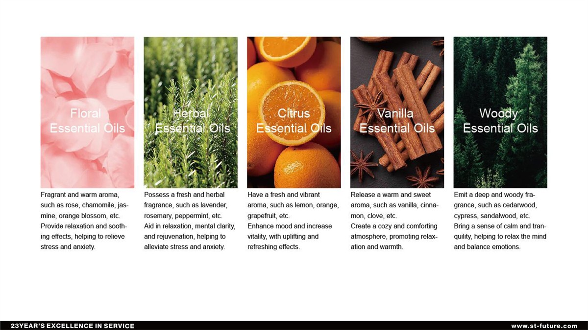 MetInfo enterprise content manager system | MetInfo CMS