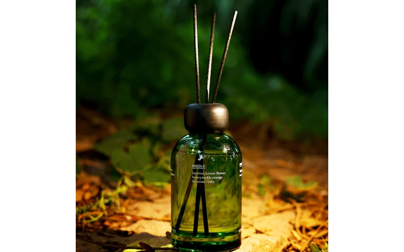 Reed diffuser with stick