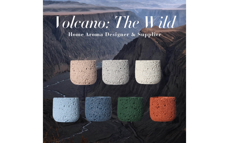 Tolcano the wild