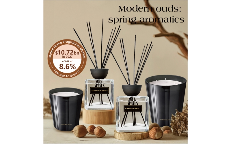 ST Future Modern ouds spring aromatics Reed diffusers（50ml,100ml,350ml,500ml）Home fragrance diffuser Scented candles Luxury candles manufacturer factory supplier